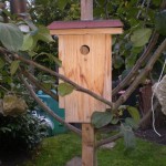 OLYMPUS DIGITAL CAMERA OLYMPUS DIGITAL CAMERA