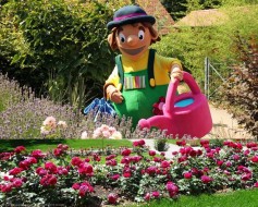 Landesgartenschau Landesgartenschau