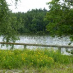 asbacher weiher