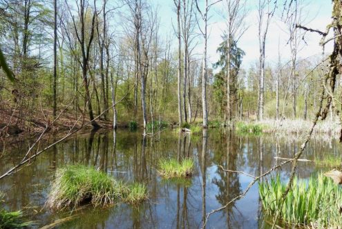 seebeiellwangen seebeiellwangen