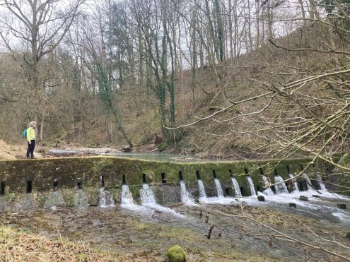 Rötelbachtal-160605_002