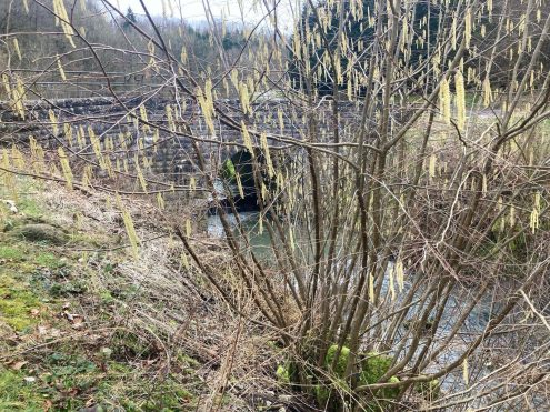 signal-2024-03-07-160605_005